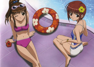 Anime girls pool bikini flower - a pool free wallpaper