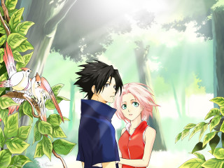 Anime forest couple birds sakura - their shoulder free wallpaper