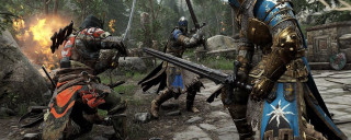 Knights armor spears shields forest - behind them free wallpaper
