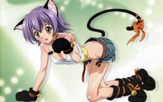 Woman cat gun furry anime - anime free wallpaper