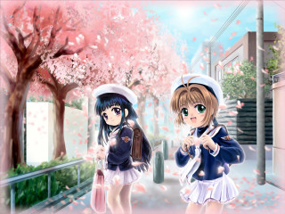 Cherry blossoms anime girls spring - cherry blossom free wallpaper