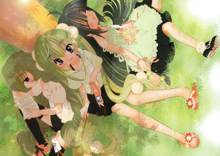 Anime girls bandaids nature dappled - their leg free wallpaper