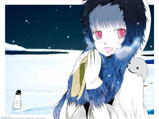 Girl penguin snow aurora beach - a penguin free wallpaper