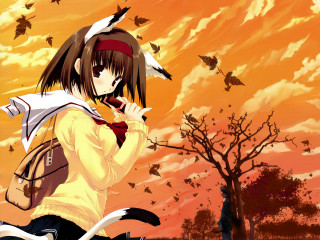 Girl backpack cat sunset birds - a sunset free wallpaper for desktop