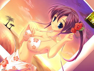 Woman bikini flower alcohol beach - her other hand free wallpaper for desktop