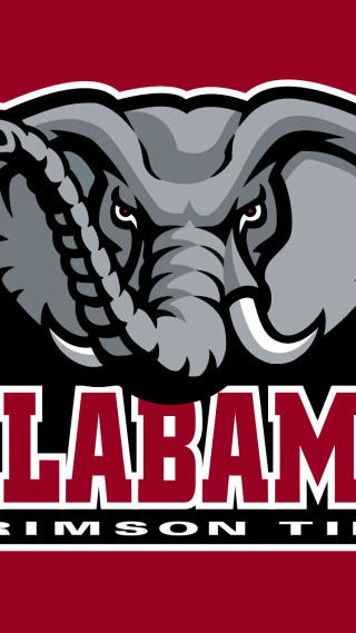 Elephant logo habama chest image - official medium free wallpaper for mobile