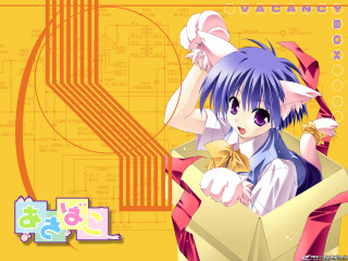 Anime character box bow circuitboard - a box free wallpaper for desktop