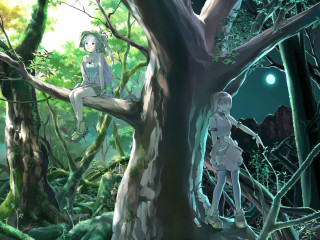 Forest night moon children aya - a tree in a forest free wallpaper
