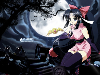 Pink kimono woman fullmoon bats - a car in front free wallpaper