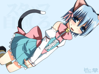 Ayako rokkaku anime cat ears - blue skirt free wallpaper