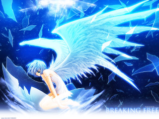 Angel wings fantasy anime night - above her head free wallpaper