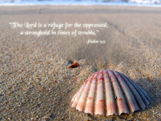 Shell beach bible verse wave - a bible verse free wallpaper