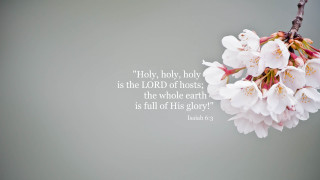 Branch white flowers bible verse - a bible verse free wallpaper