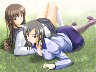 Anime girls grass school uniform - their leg free wallpaper