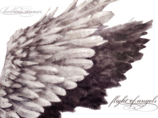 Feather gothic wings dirkcrabeth albumcover - free abstract wallpaper