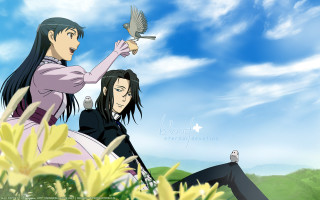 Grass field birds flower sunlight - clarice beckett free wallpaper