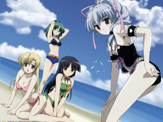 Beach girls bathing suits ocean - the ocean in the background free wallpaper for desktop