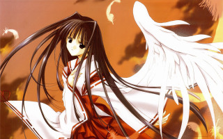Woman angel wings hakama manga - a white angel free wallpaper