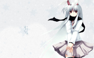Bunny girl snow anime cat - a snow background free wallpaper