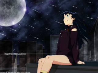 City skyline fullmoon starry night - a ledge in front free wallpaper