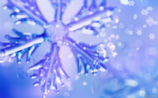 Close up snowflake snowflakes side - the top free wallpaper