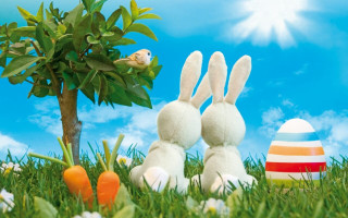 Stuffed rabbits grass tree eggs - stuffed free wallpaper