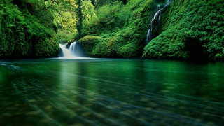Waterfall green forest boat water 2 - a green forest free wallpaper