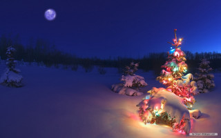 Christmas tree snow night full 8 - a christmas tree free wallpaper