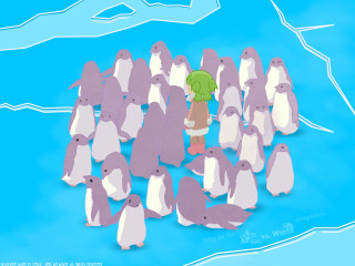 Penguins person green umbrella blue - the middle of them free wallpaper