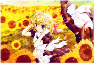 Sunflower field butterfly manga portrait - a butterfly free wallpaper