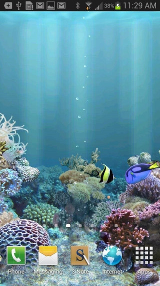 Cell phone coral reef fish - underwater free wallpaper for mobile