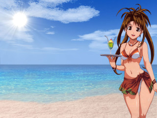 Woman bikini beach food drink - a tray of food free wallpaper
