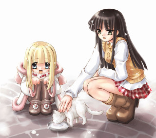 Girl cat anime schooluniform manga - the ground free wallpaper for tablet