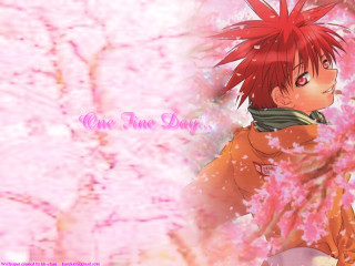 Red hair anime branch pink - red hair free wallpaper