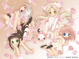 Anime girls flower petals pig - free cats wallpaper