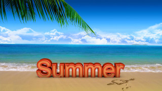 Beach summer sand palm tree - free summer wallpaper