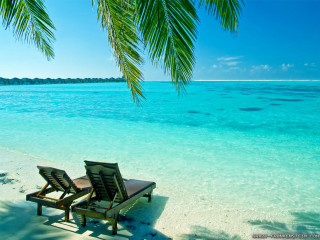 Beach chairs ocean palm tree - two chair free wallpaper