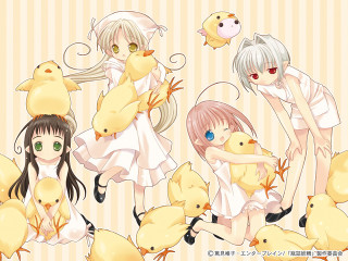 Girls chicks animals dress stripes - a group of girls free wallpaper