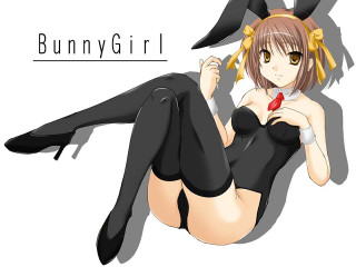 Black animal ears anime ribbon - a black outfit free wallpaper