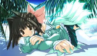 Anime girl laying palm trees - palm tree free wallpaper