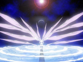 White bird flying blue water - a blue circle free wallpaper for desktop