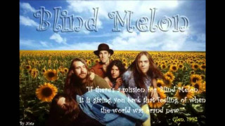 Sunflower field group people quote - blind free wallpaper