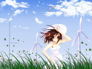 Girl white dress hat field - overhead free wallpaper