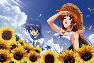 Sunflowers field anime characters summer - a field of sunflowers free wallpaper