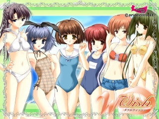 Girls bathing suits green background - widescreen free wallpaper