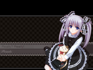 Alice prin girl teddy bear - 4k resolution free wallpaper