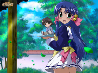 Girl blue dress tray tree - a blue dress holding free wallpaper