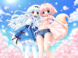 Two anime girls blossoms blue - a detailed drawing free wallpaper