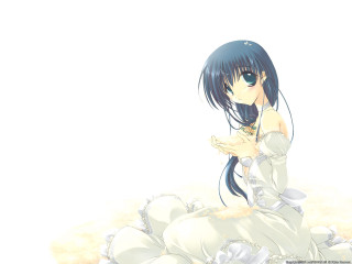 White dress flower sitting blue - a bed of flowers free wallpaper