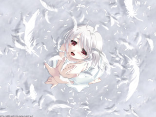 White haired girl red eyes 2 - white feather free wallpaper